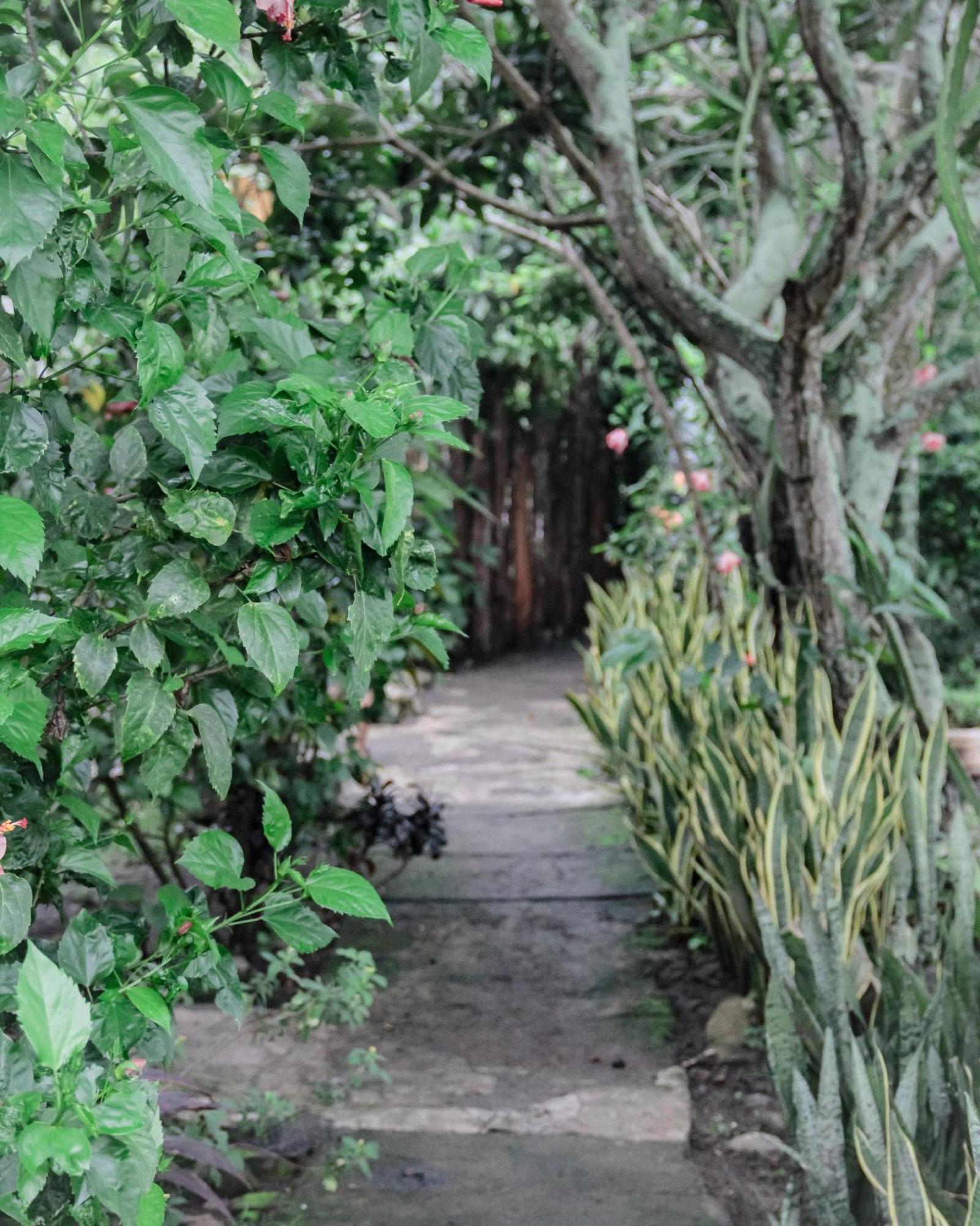 Tiara Homestay Plambi Exterior photo